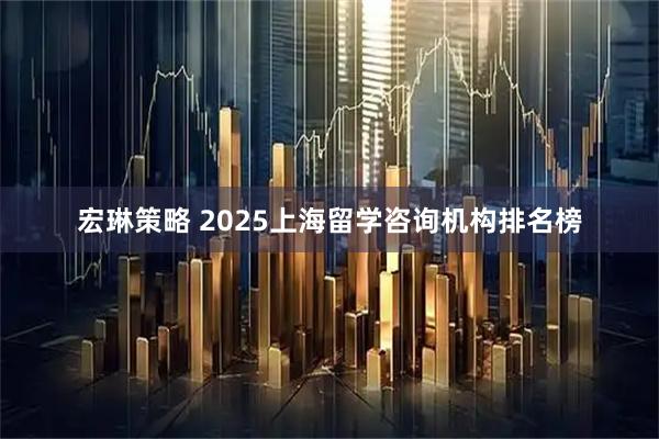 宏琳策略 2025上海留学咨询机构排名榜
