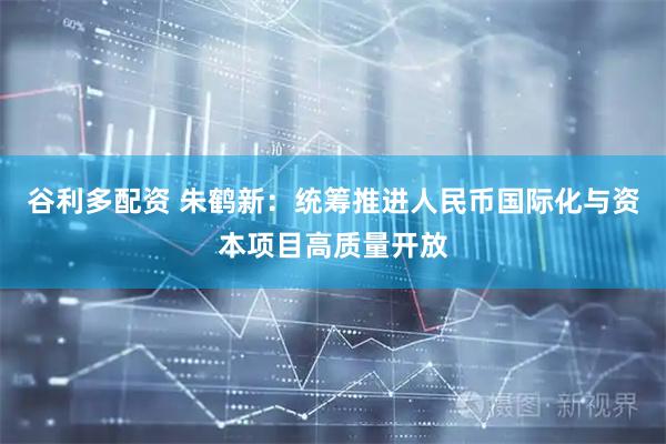 谷利多配资 朱鹤新：统筹推进人民币国际化与资本项目高质量开放