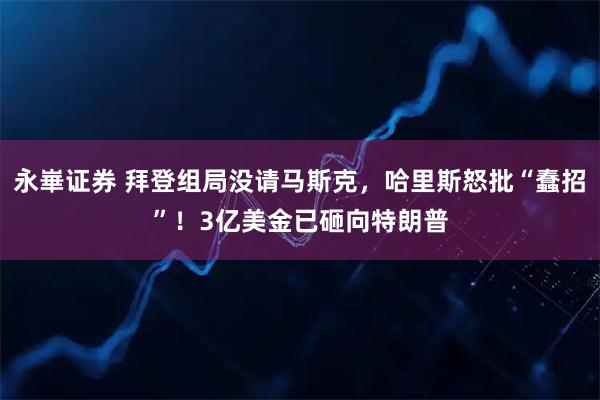 永崋证券 拜登组局没请马斯克，哈里斯怒批“蠢招”！3亿美金已砸向特朗普