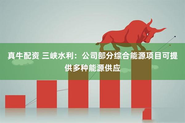 真牛配资 三峡水利：公司部分综合能源项目可提供多种能源供应