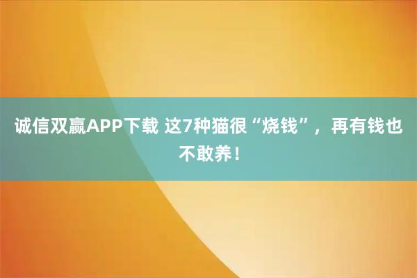 诚信双赢APP下载 这7种猫很“烧钱”，再有钱也不敢养！